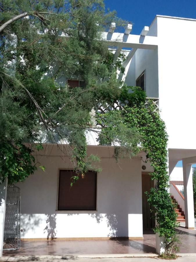 הוילה טורה קולימנה Casa Pita מראה חיצוני תמונה